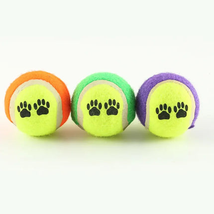 Outdoor Dog Training Throw Toy