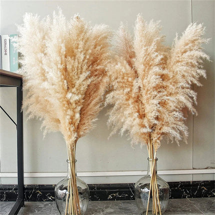 Graceful Plumes Decor