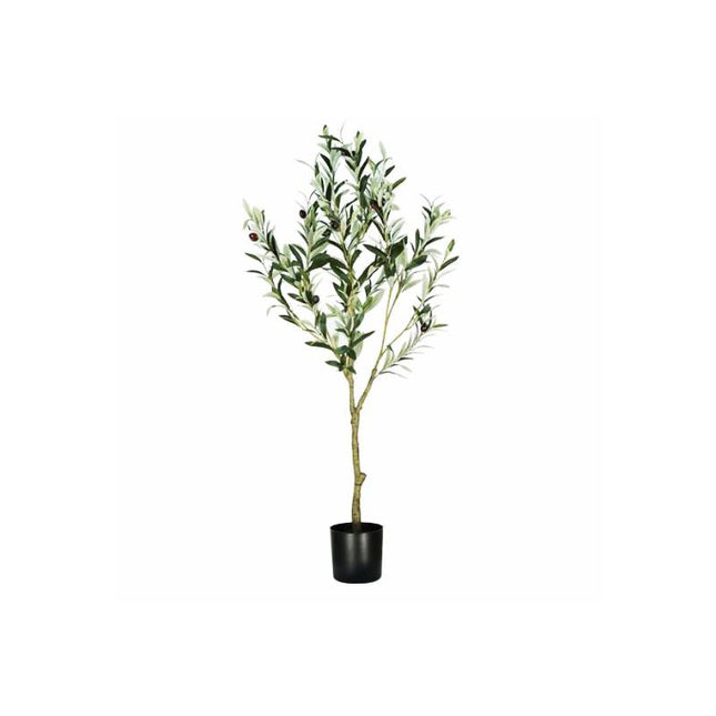 OliveElegance Pro