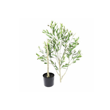 OliveElegance Pro