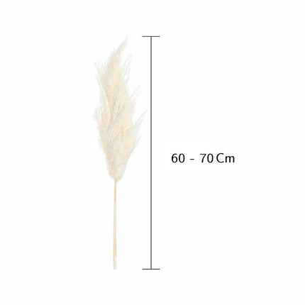 Graceful Plumes Decor