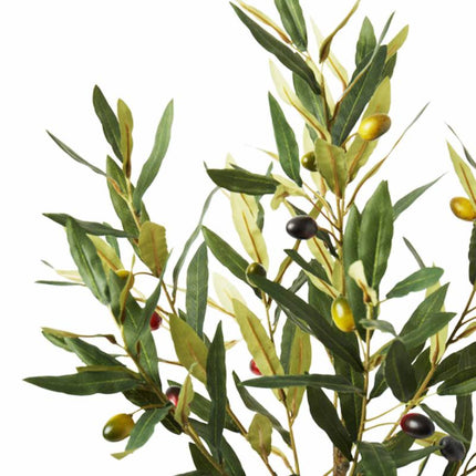 OliveElegance Pro