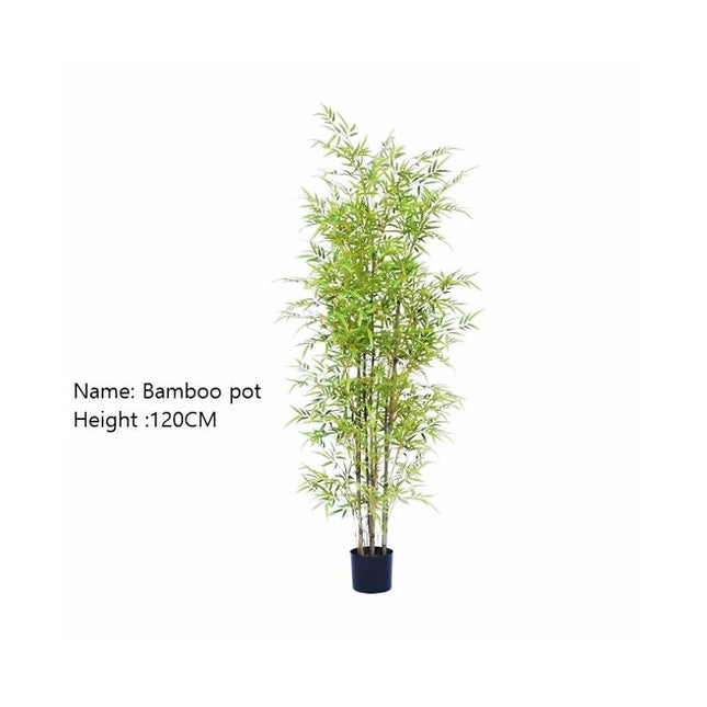 BambooBliss Décor
