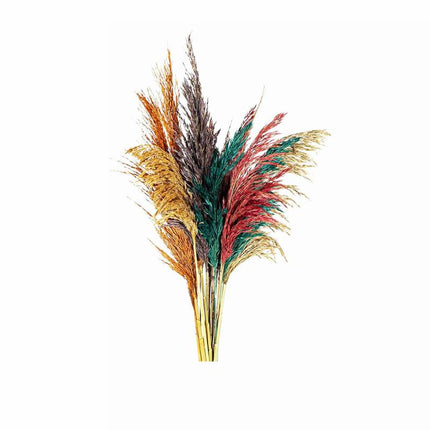 Graceful Plumes Decor