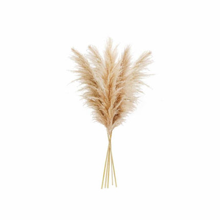 Graceful Plumes Decor