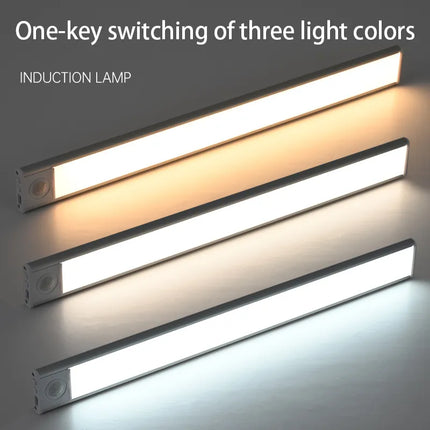 Pulsebright Smartmotion 2 Motion Detection