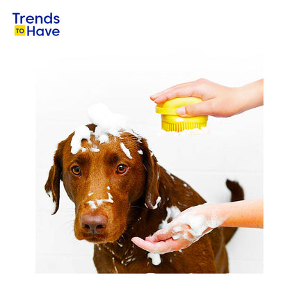 La brosse à poils de chien en silicone 2 en 1