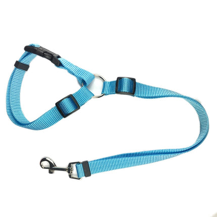 PupPal: The Adjustable Car Leash