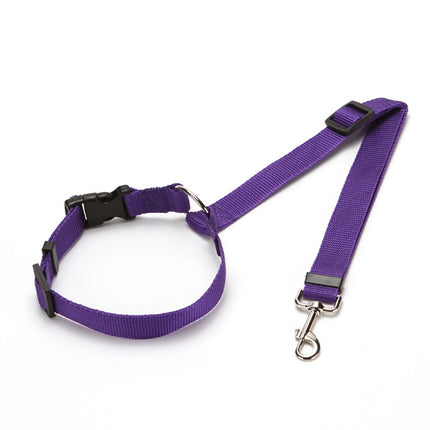 PupPal: The Adjustable Car Leash
