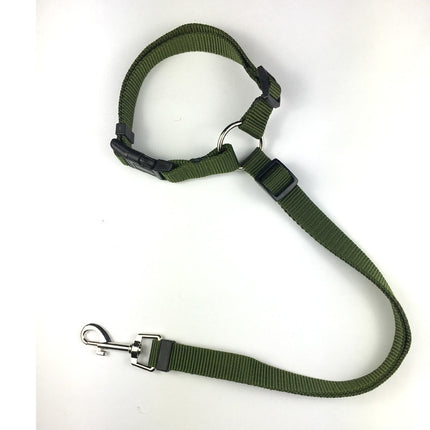 PupPal: The Adjustable Car Leash