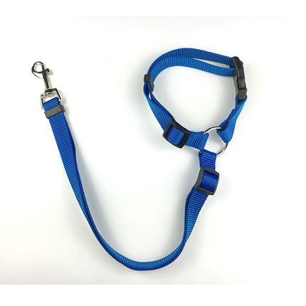 PupPal: The Adjustable Car Leash