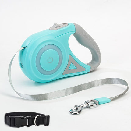 AutoLeash: for Modern Pet Owners