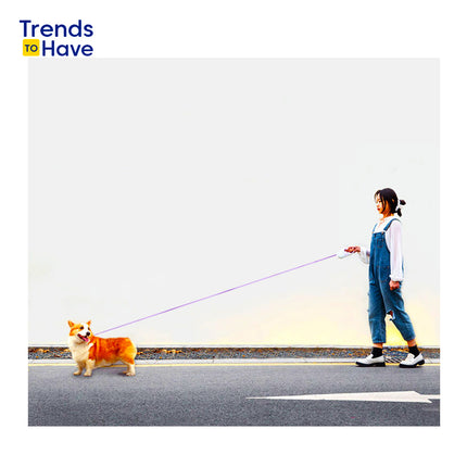 AutoLeash: for Modern Pet Owners