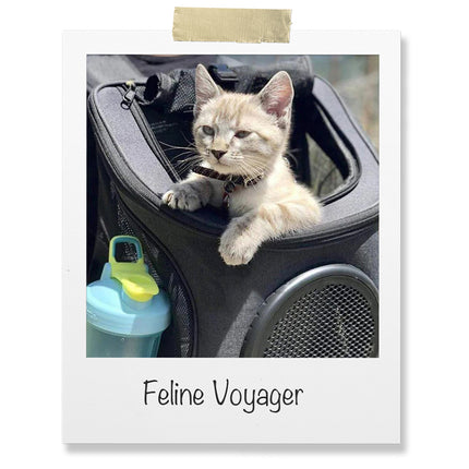 Feline Voyager - Adventure Backpack